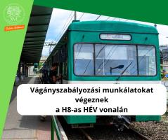 H8-as HÉV a megállóban - Vágányszabályozási munkálatokat végeznek a H8-as HÉV vonalán